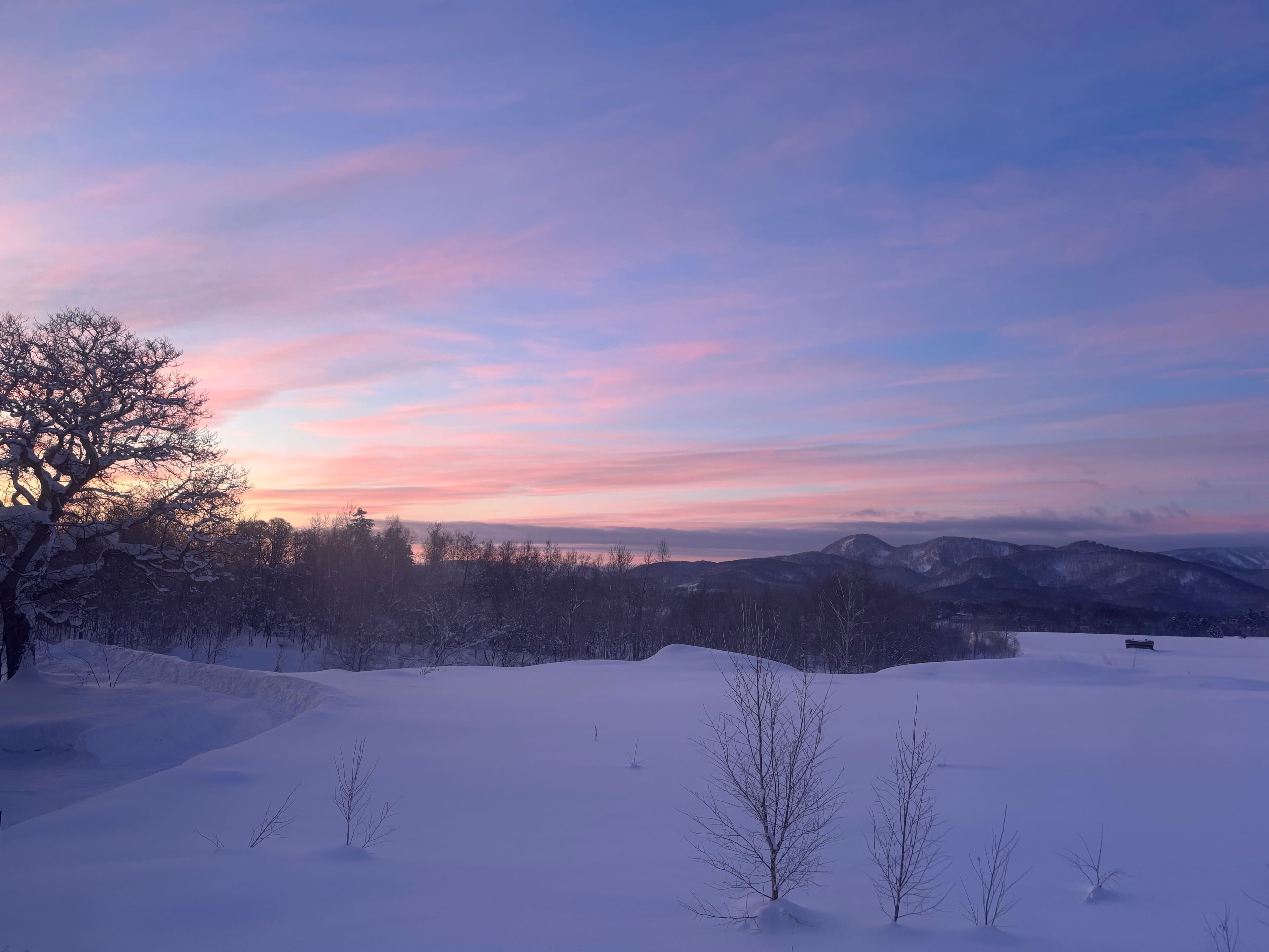 Snowfields at dusk